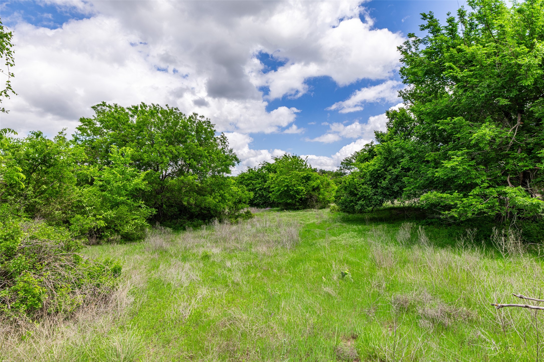 1728 Sweet Springs Weatherford TX 76088