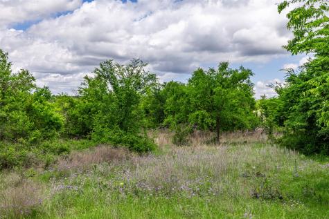 1728 Sweet Springs Weatherford TX 76088