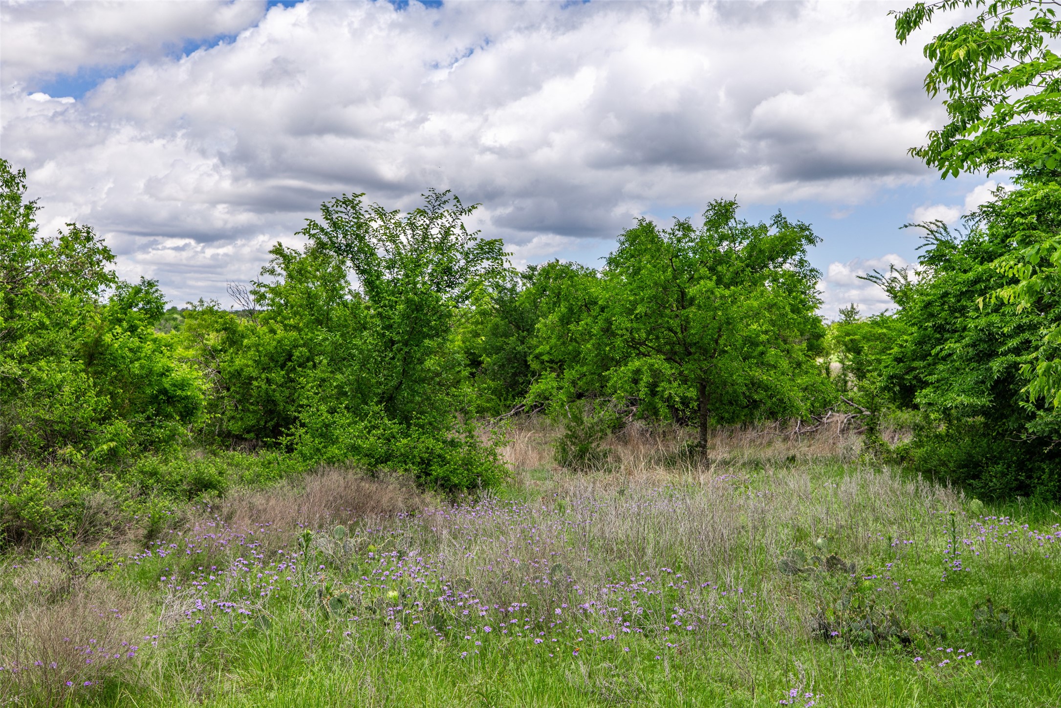 1728 Sweet Springs Weatherford TX 76088