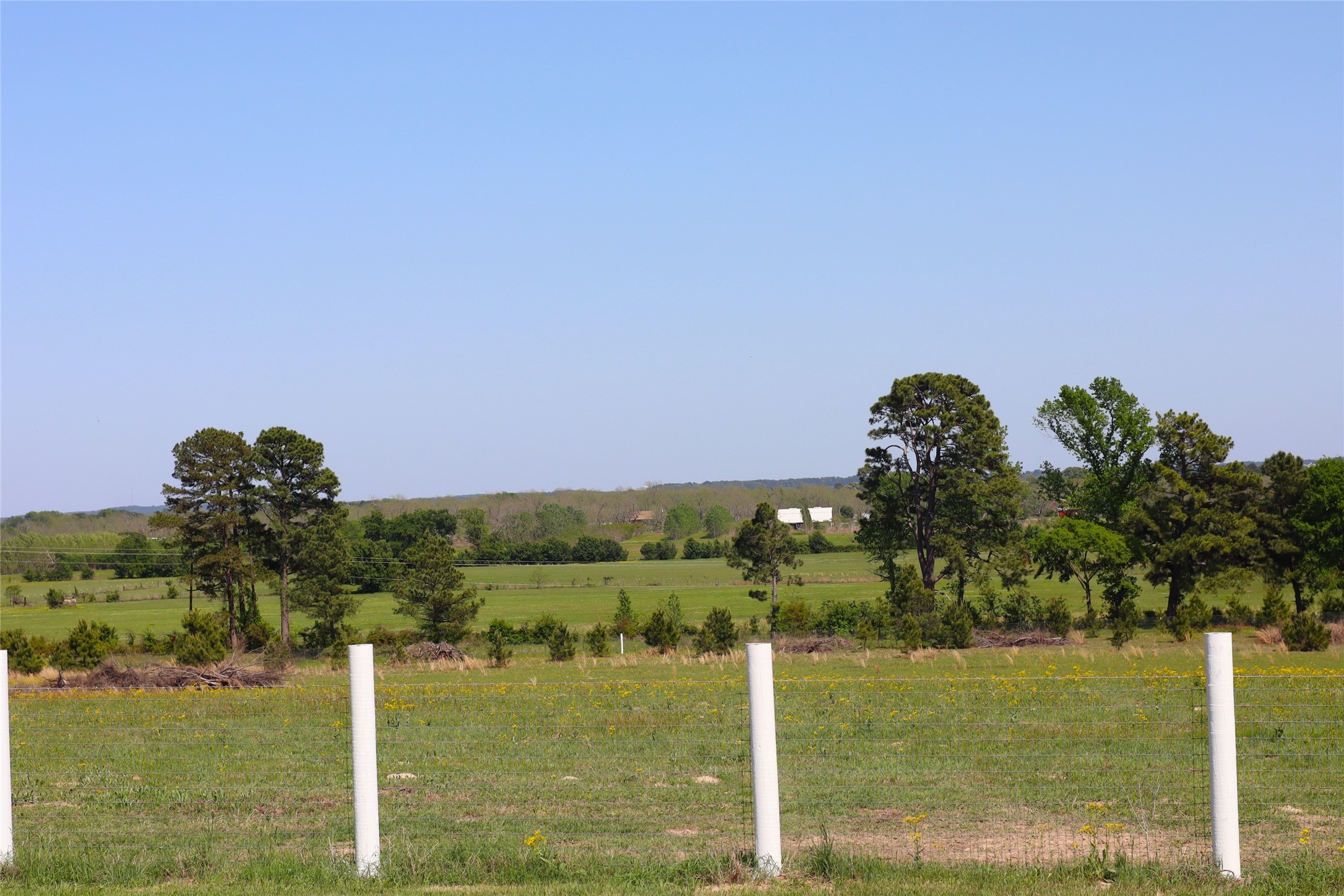 1140 Cr-3412 Chandler TX 75758
