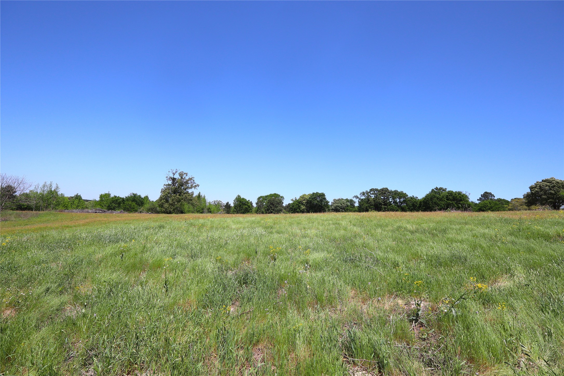 1140 Cr-3412 Chandler TX 75758