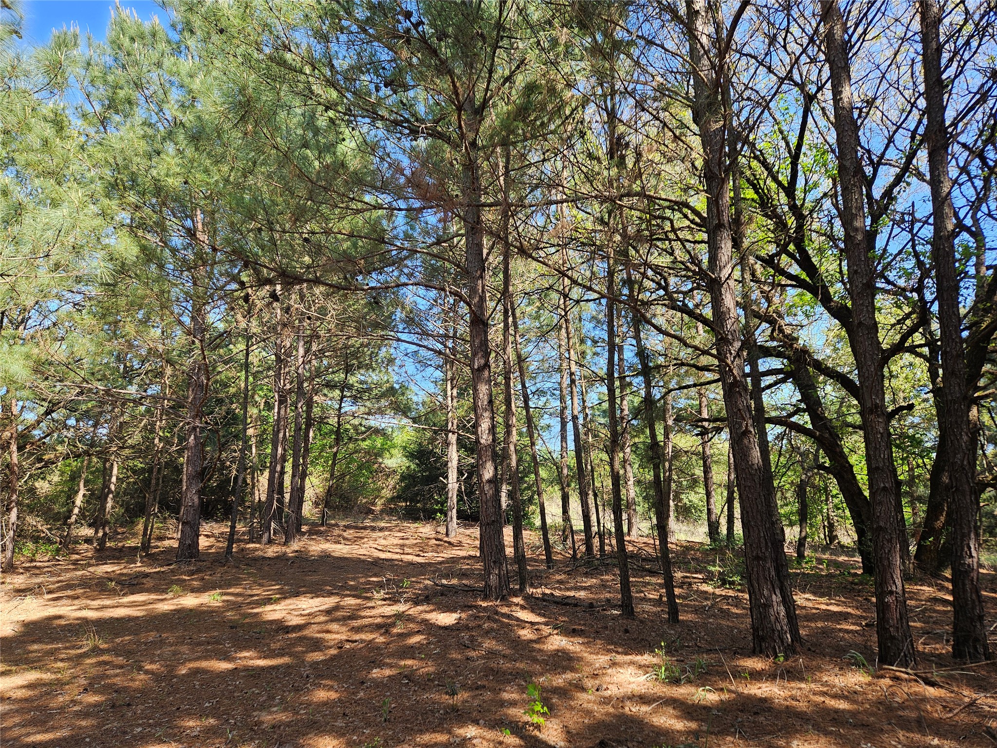 1140 Cr-3412 Chandler TX 75758