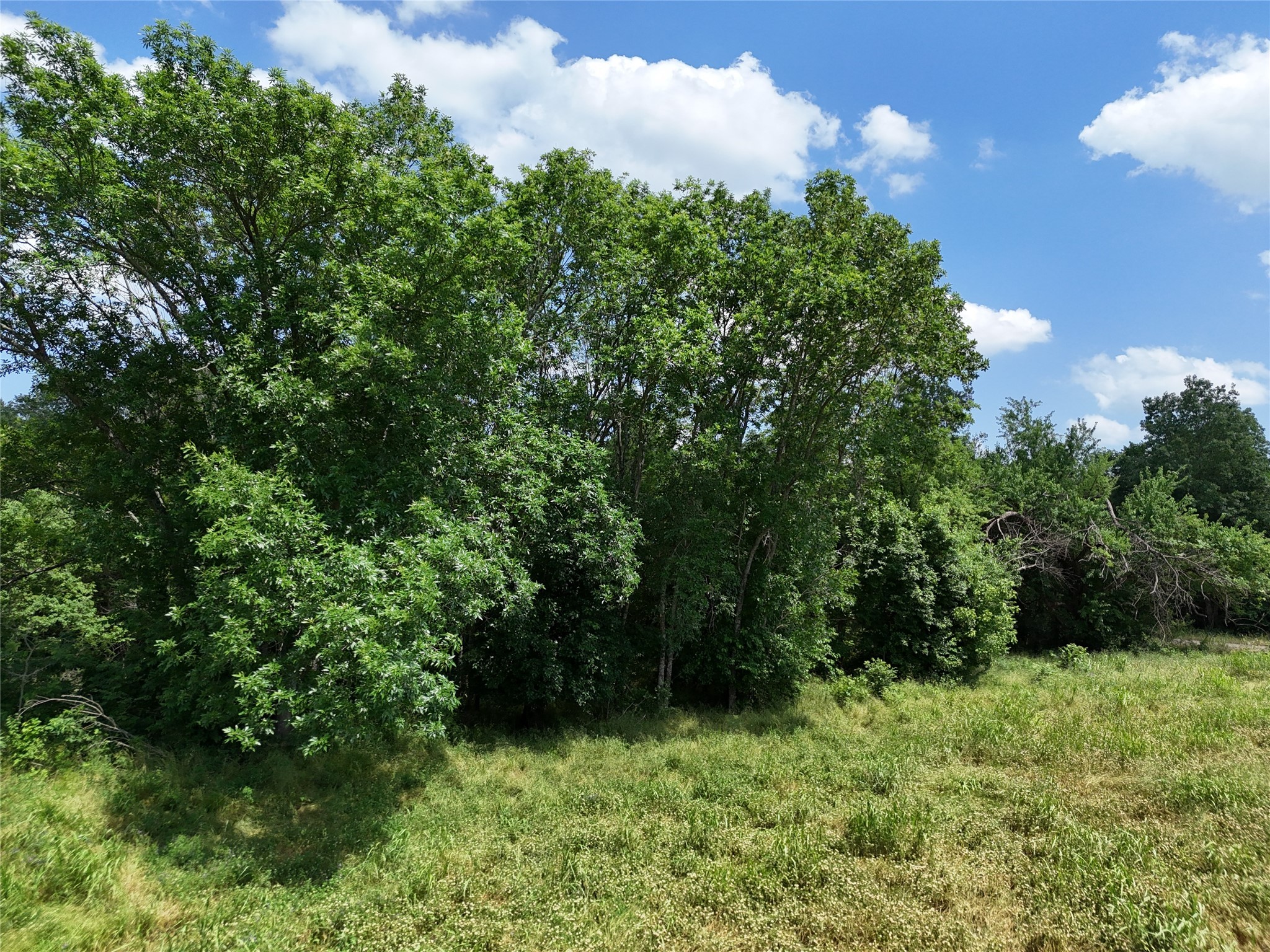 9 Cr 2770 Honey Grove TX 75446