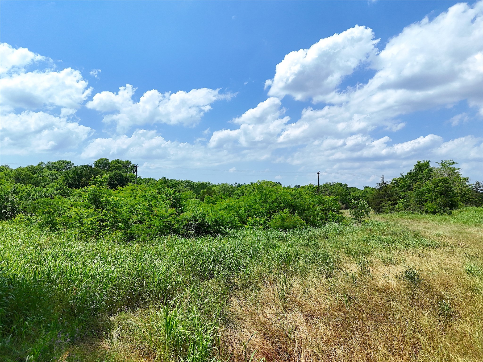 9 Cr 2770 Honey Grove TX 75446