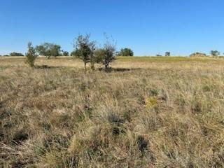 4050 Mirielle Drive Aledo TX 76008