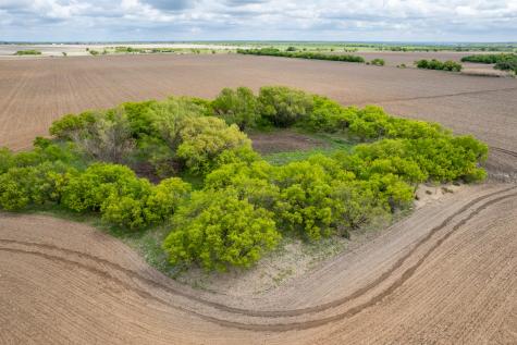 TBD County Road 159 Coleman TX 76834