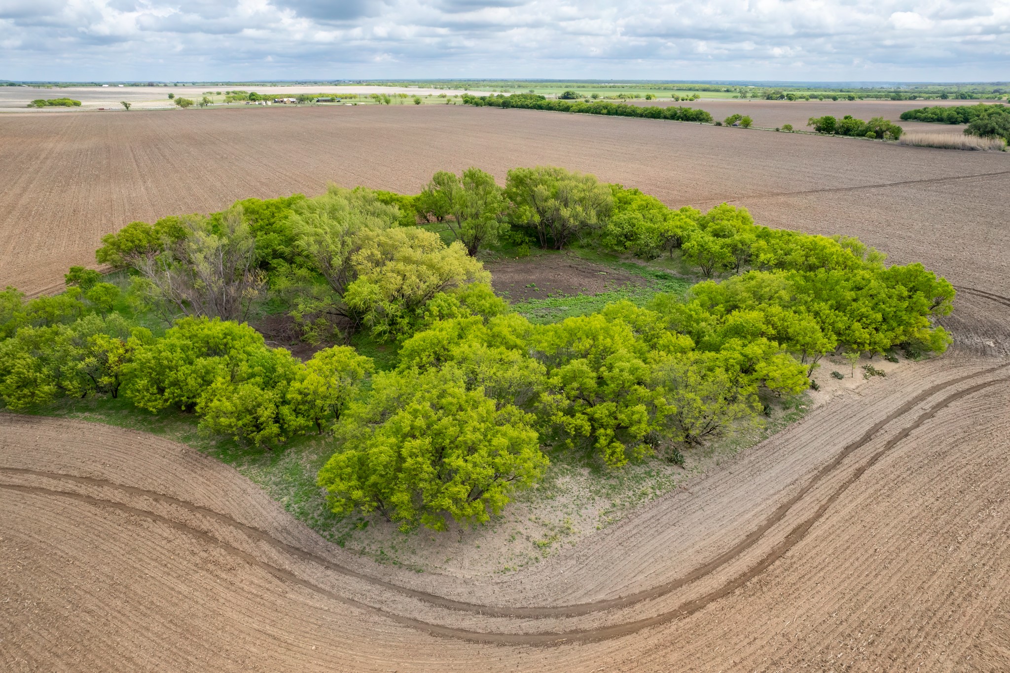 Tbd County Road 159 Coleman TX 76834