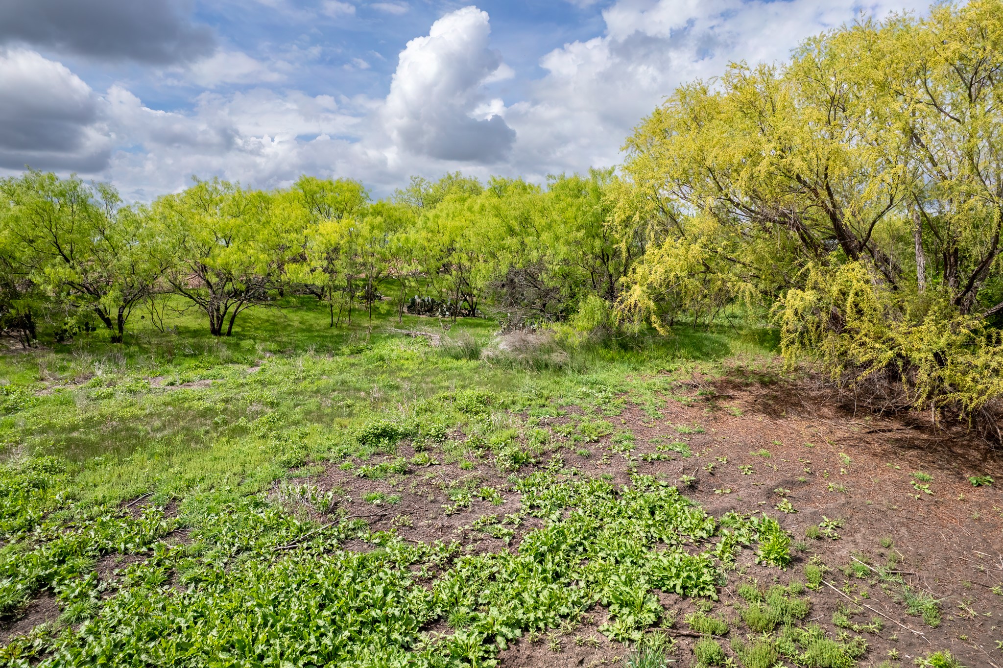 Tbd County Road 159 Coleman TX 76834