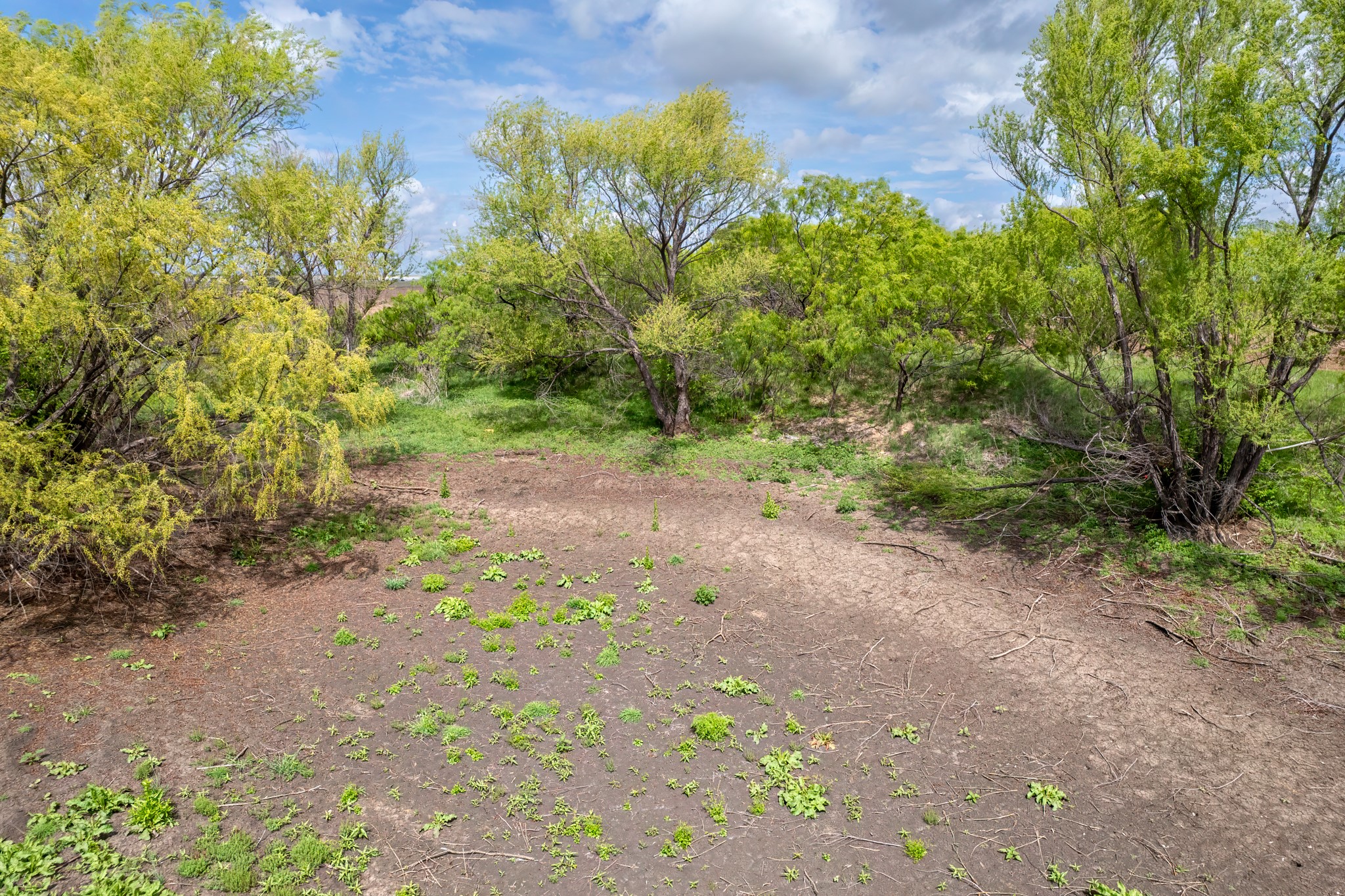 Tbd County Road 159 Coleman TX 76834