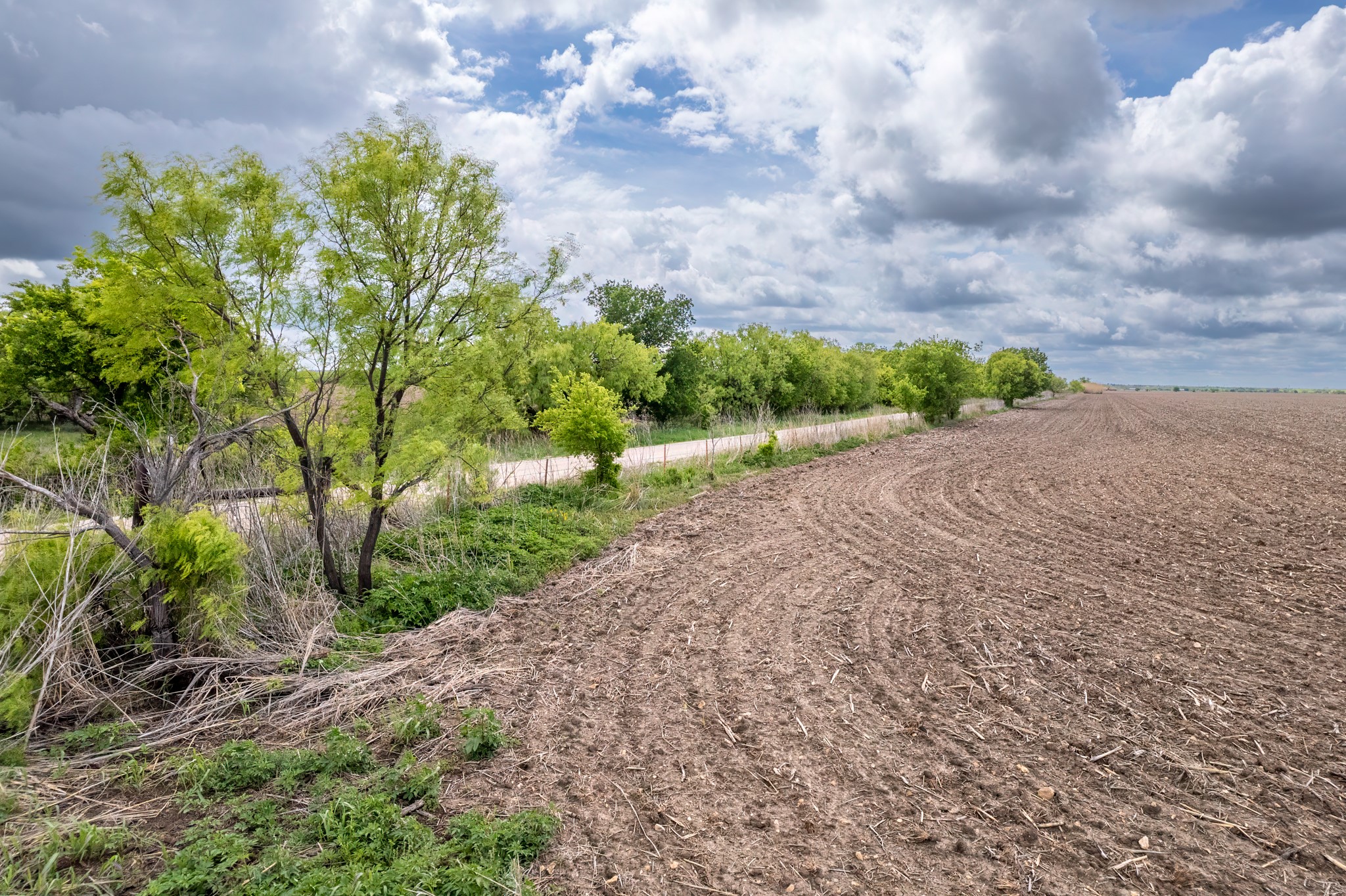 Tbd County Road 159 Coleman TX 76834