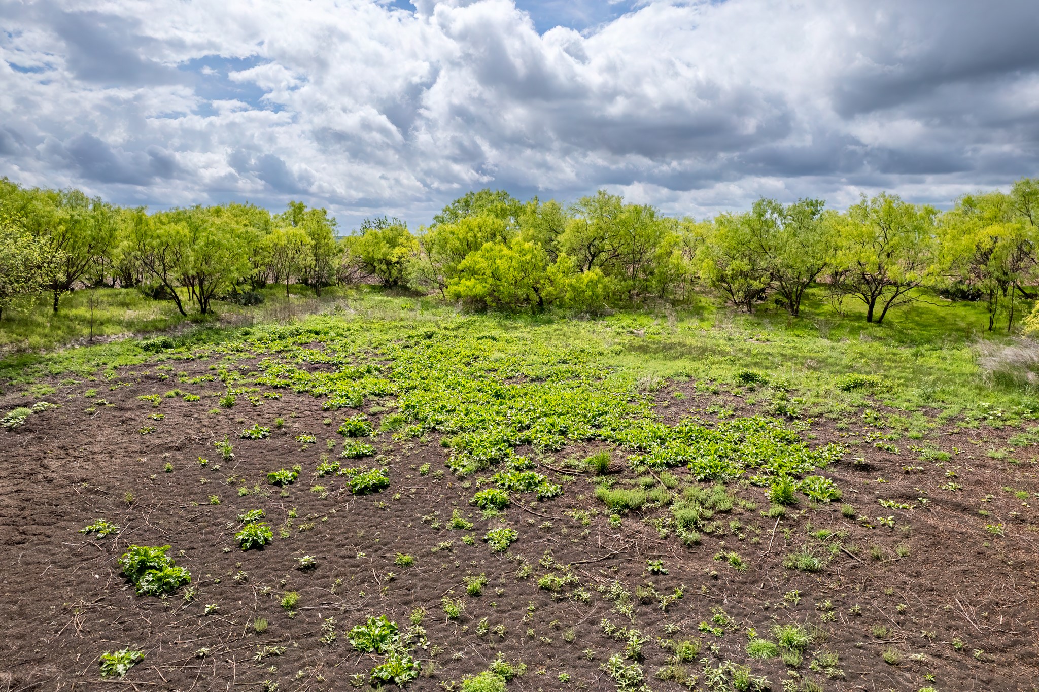 Tbd County Road 159 Coleman TX 76834