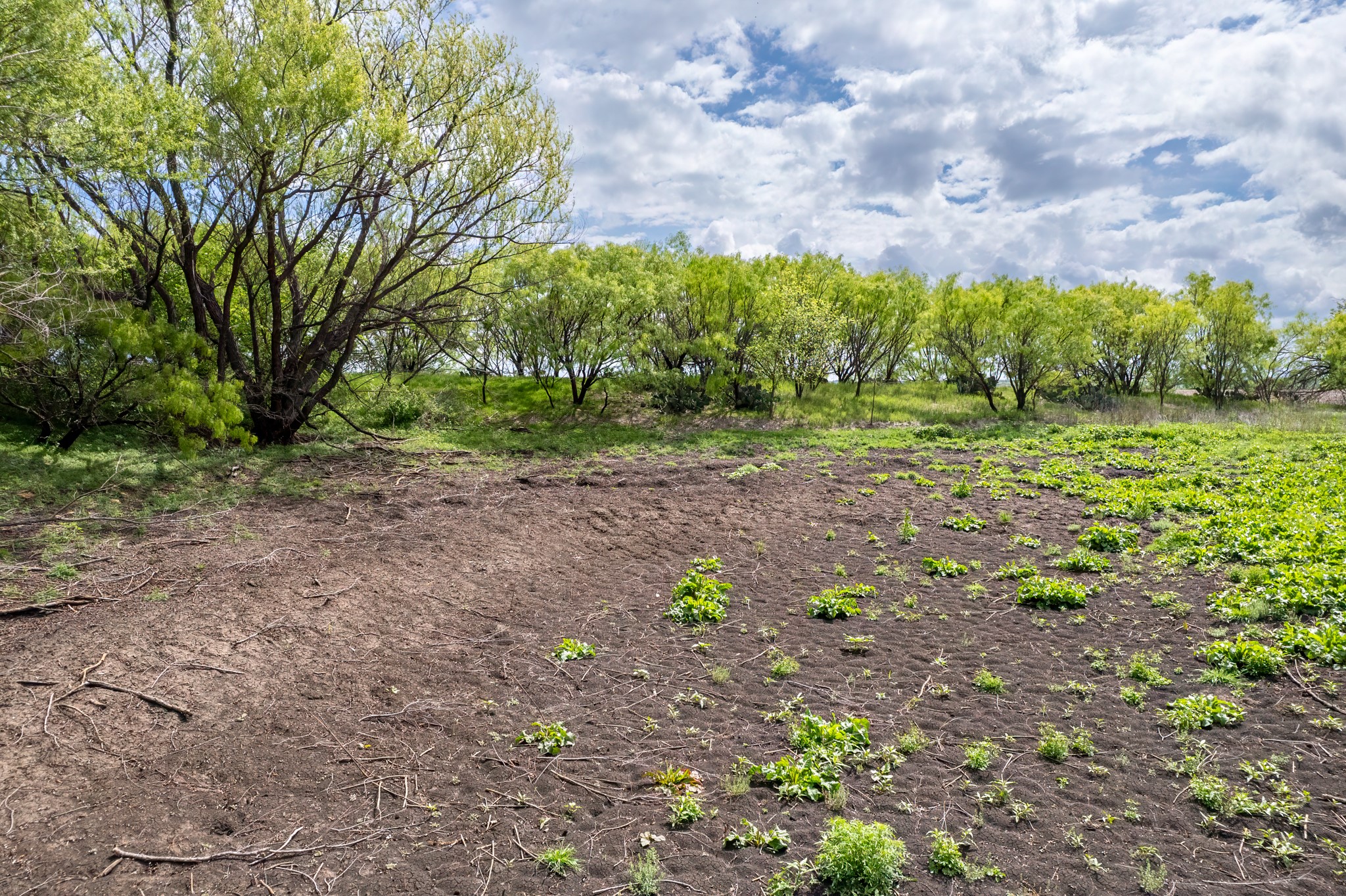 Tbd County Road 159 Coleman TX 76834