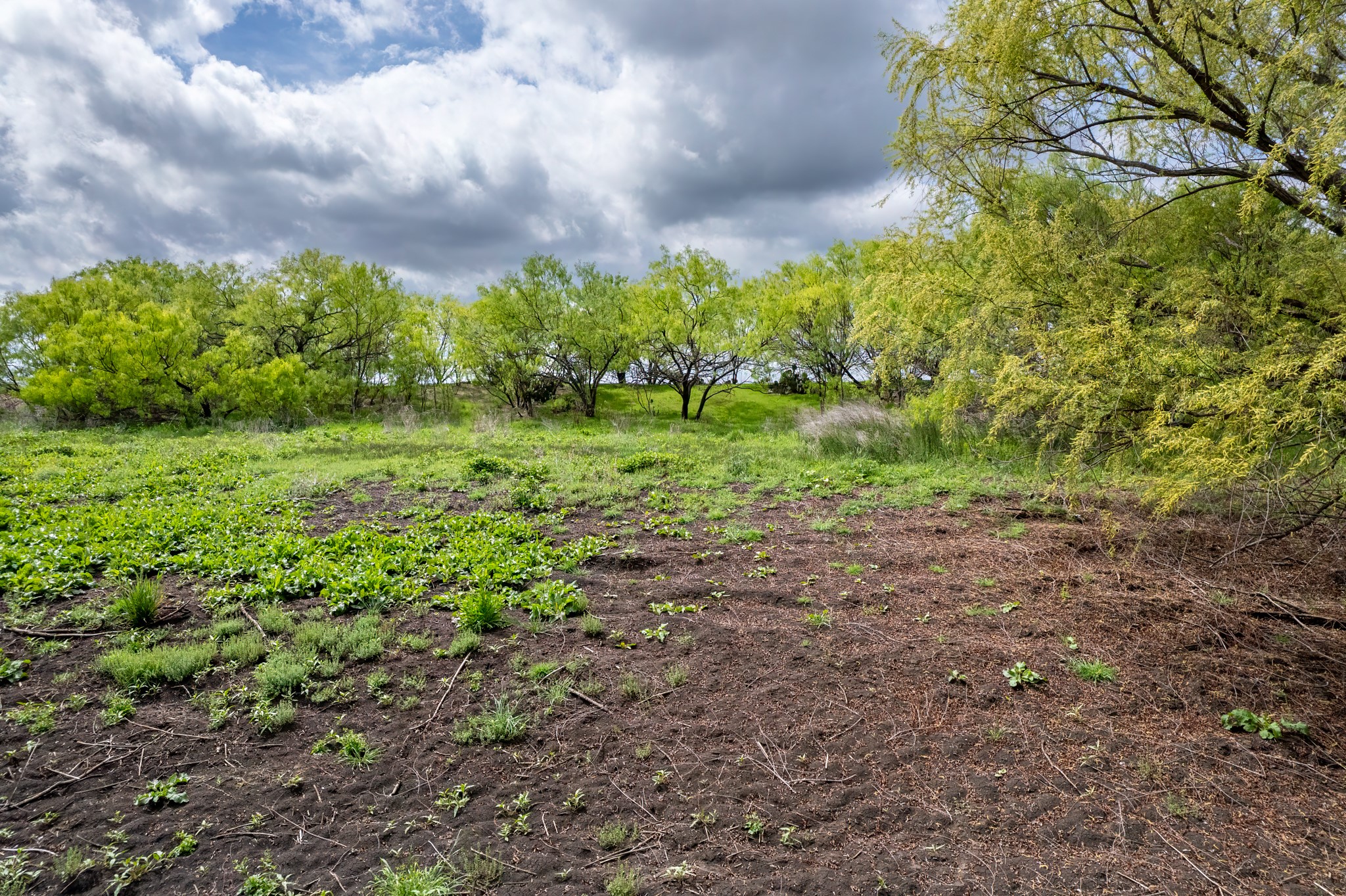 Tbd County Road 159 Coleman TX 76834