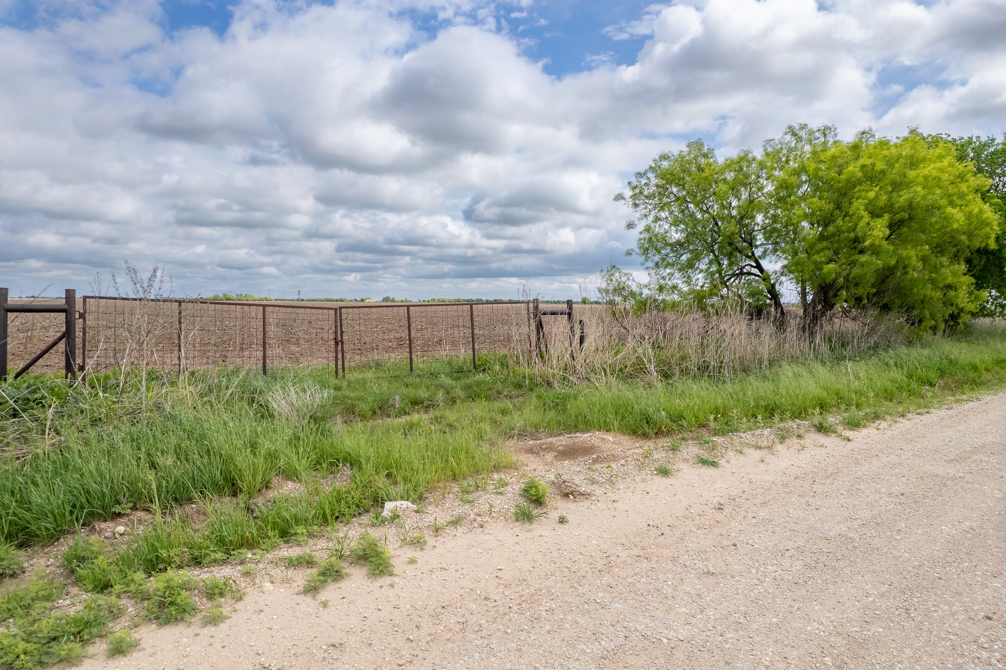 Tbd County Road 159 Coleman TX 76834