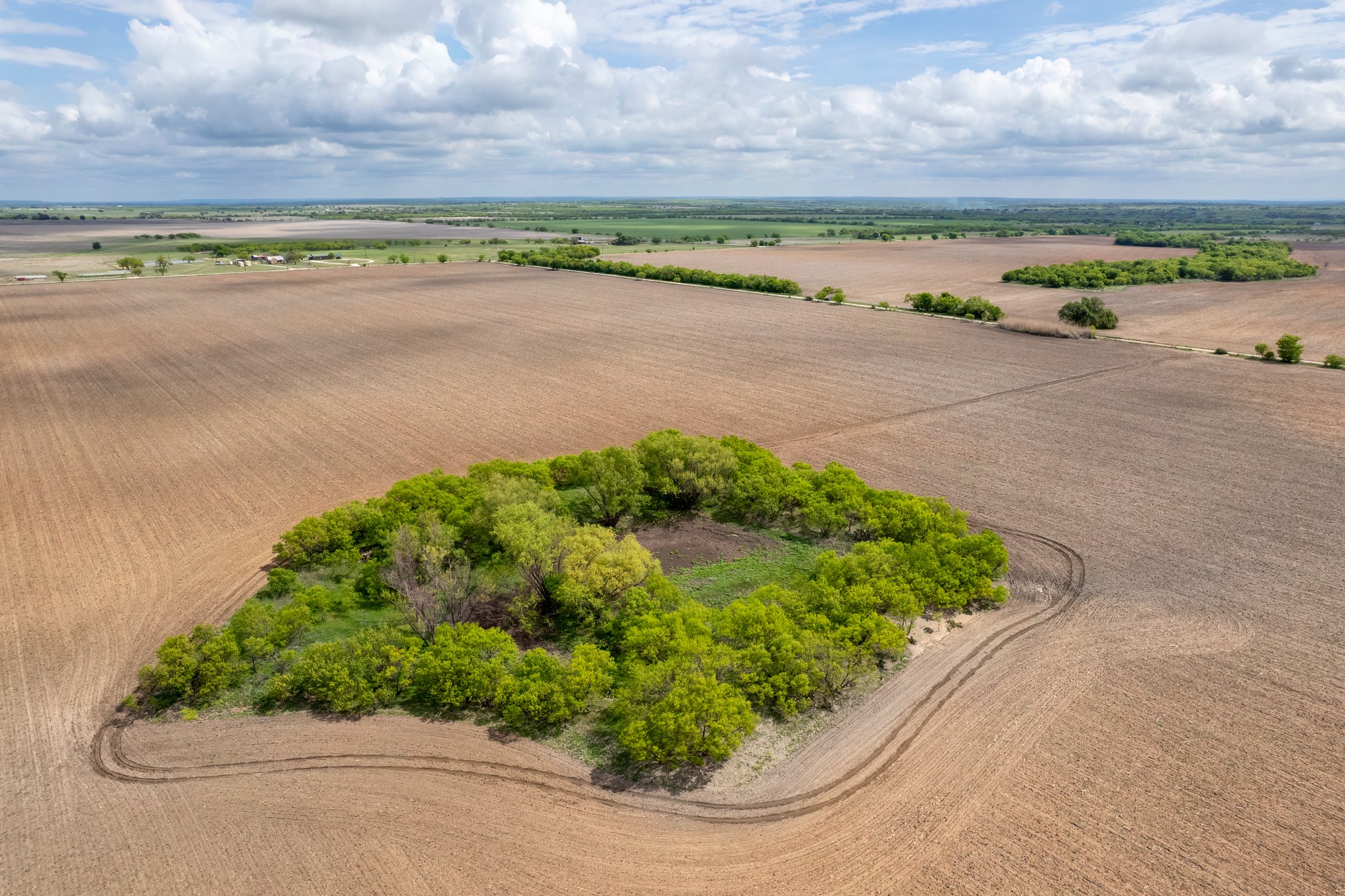 Tbd County Road 159 Coleman TX 76834