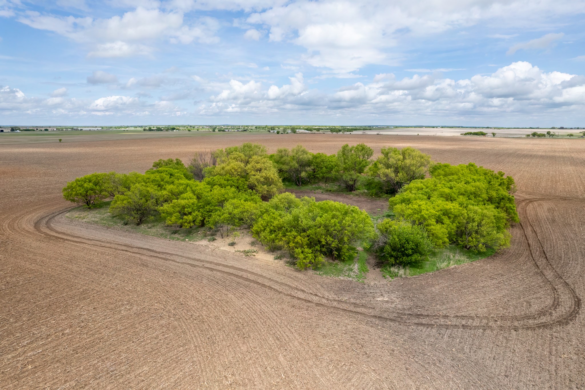 Tbd County Road 159 Coleman TX 76834