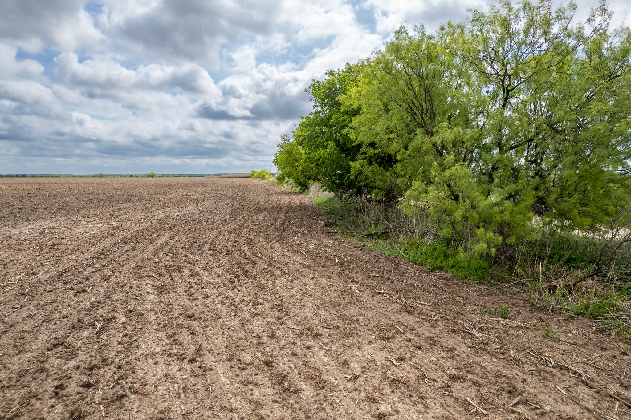 Tbd County Road 159 Coleman TX 76834