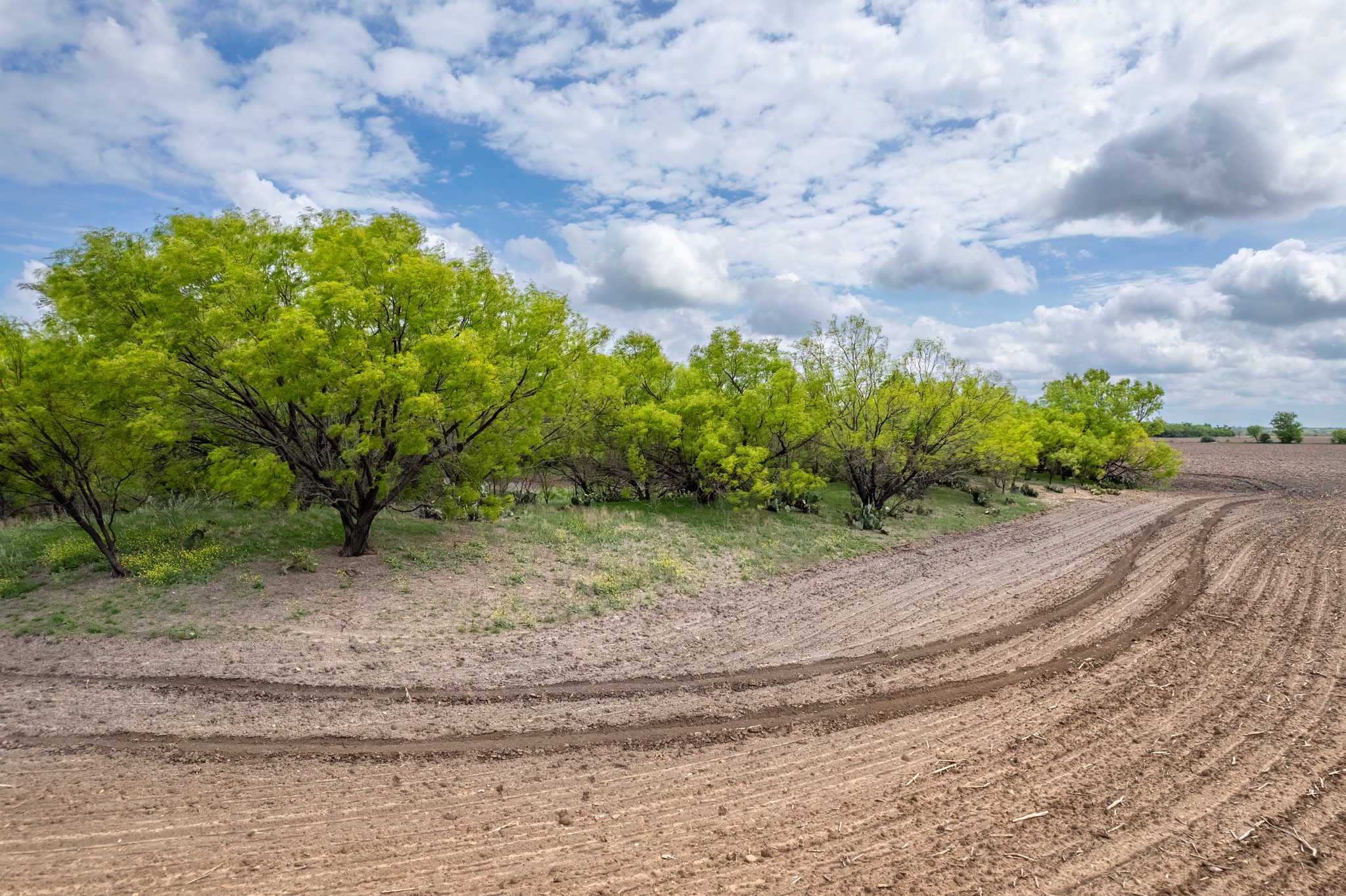 Tbd County Road 159 Coleman TX 76834