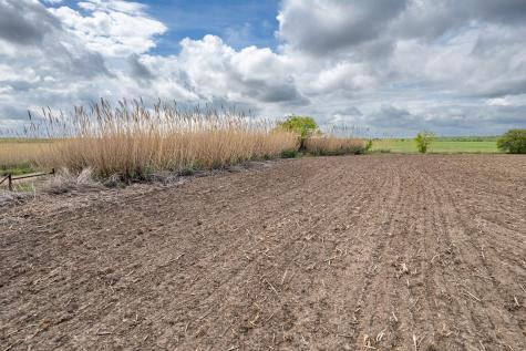 Tbd County Road 159 Coleman TX 76834