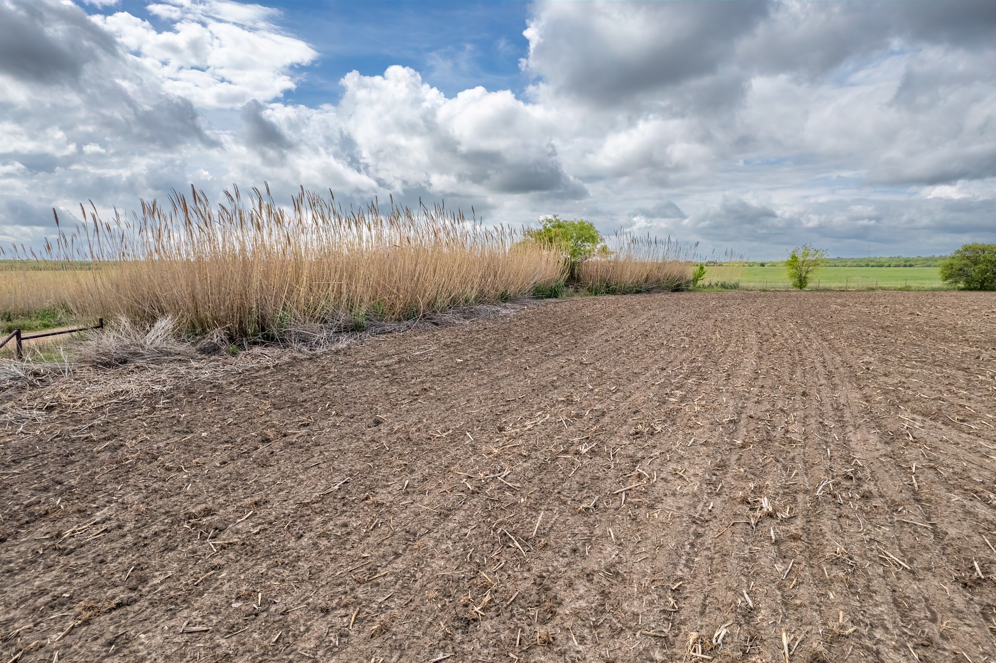 Tbd County Road 159 Coleman TX 76834