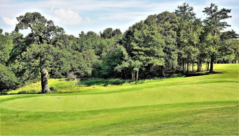 Lot 97a Stonewolf Court Gordonville TX 76245