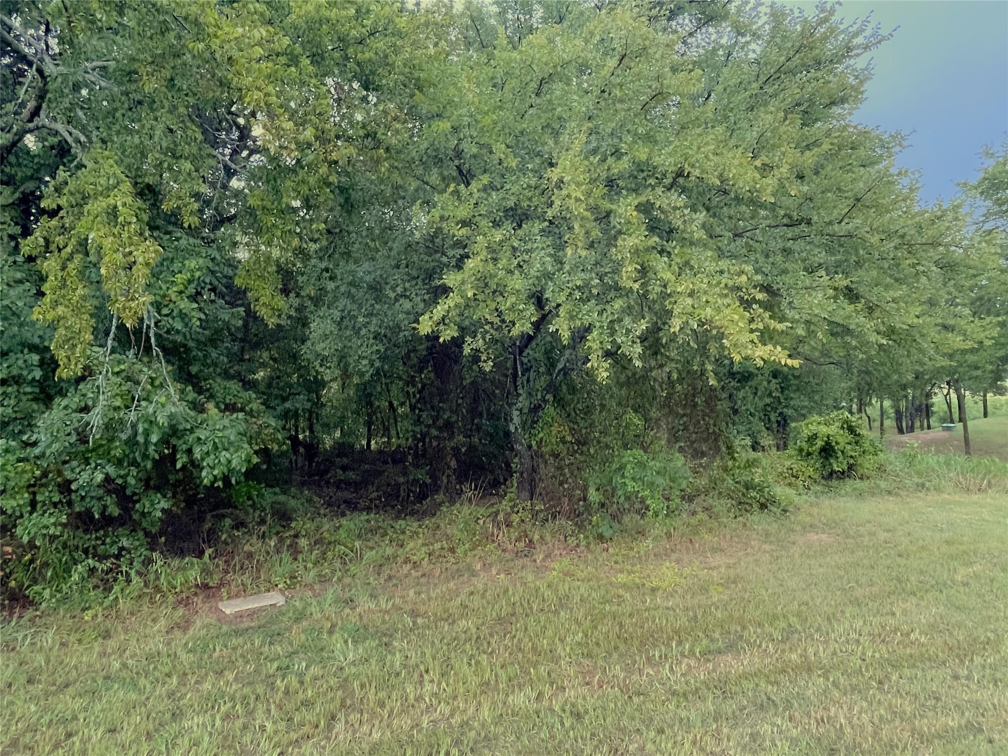 Lot 97a Stonewolf Court Gordonville TX 76245