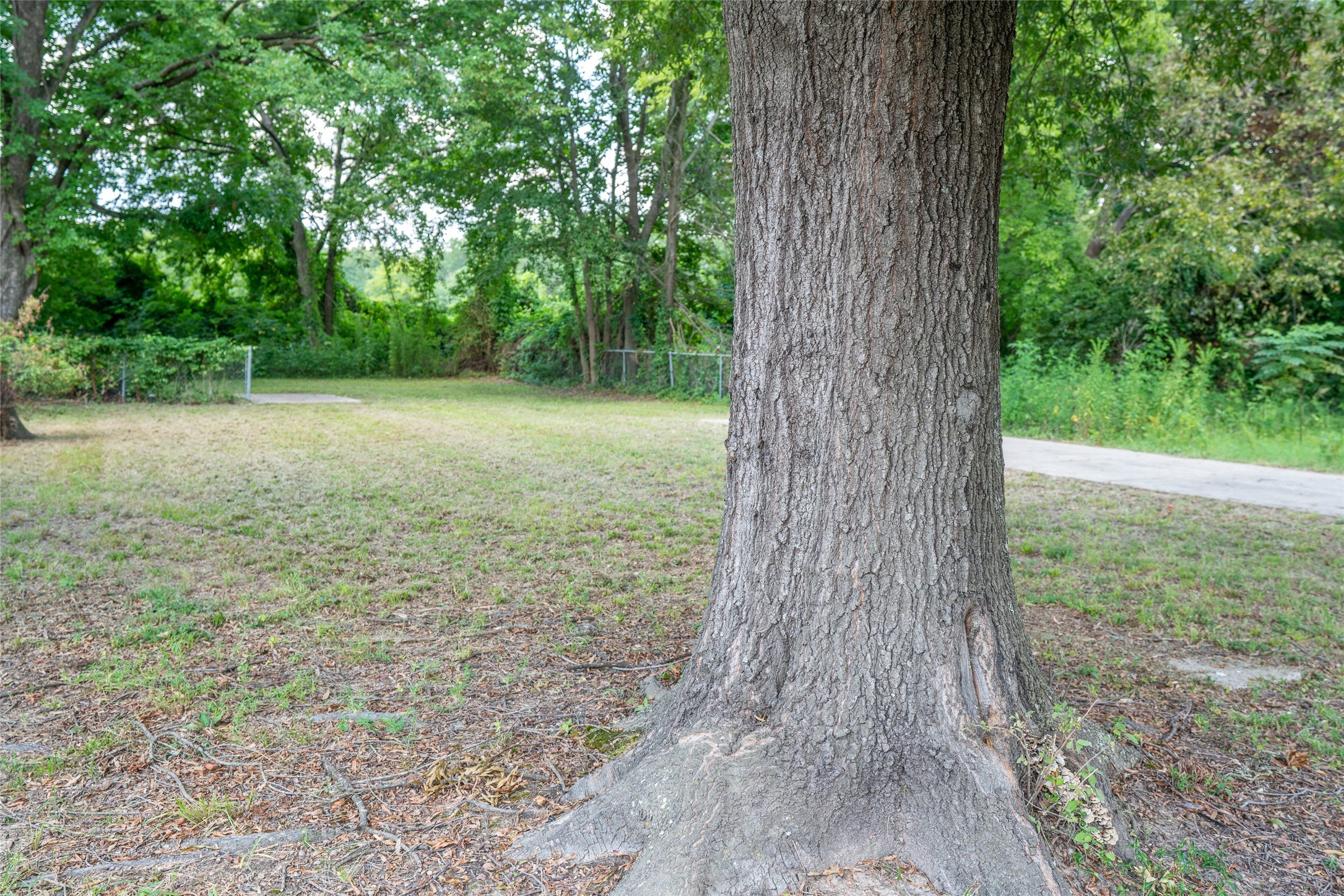 1609 Plum Texarkana TX 75501
