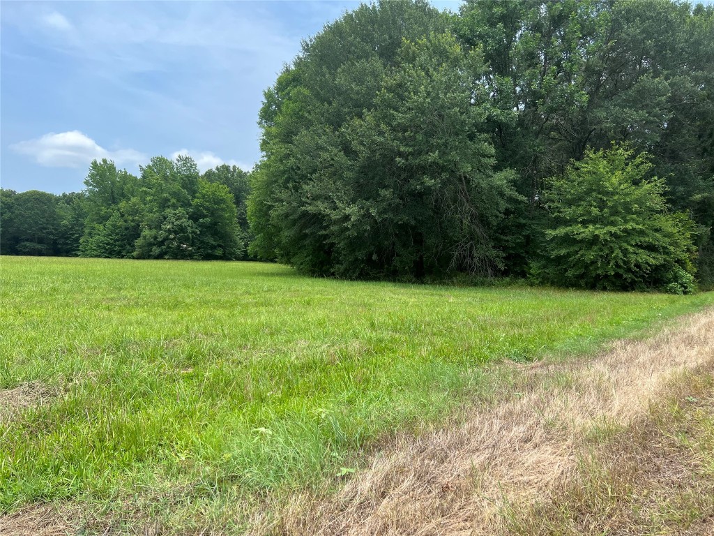 Tbd Cr 4130 Mount Vernon TX 75457