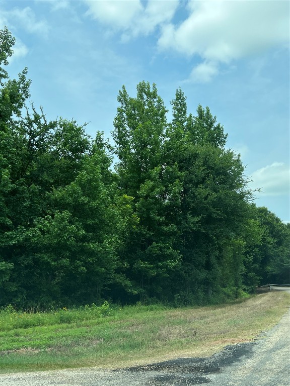 Tbd Cr 4130 Mount Vernon TX 75457