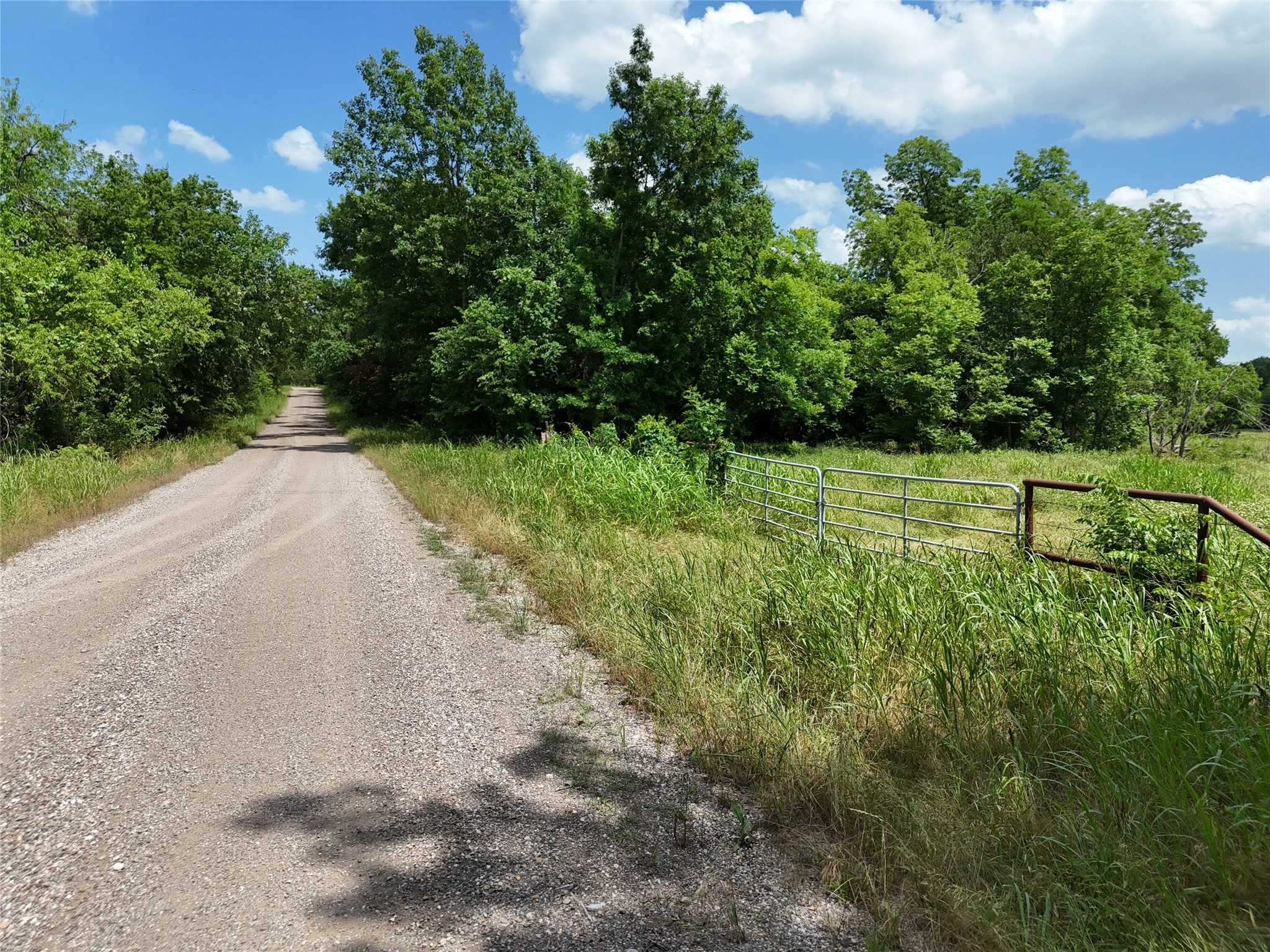 11 Tbd Cr2770 Cr 2770 Honey Grove TX 75446