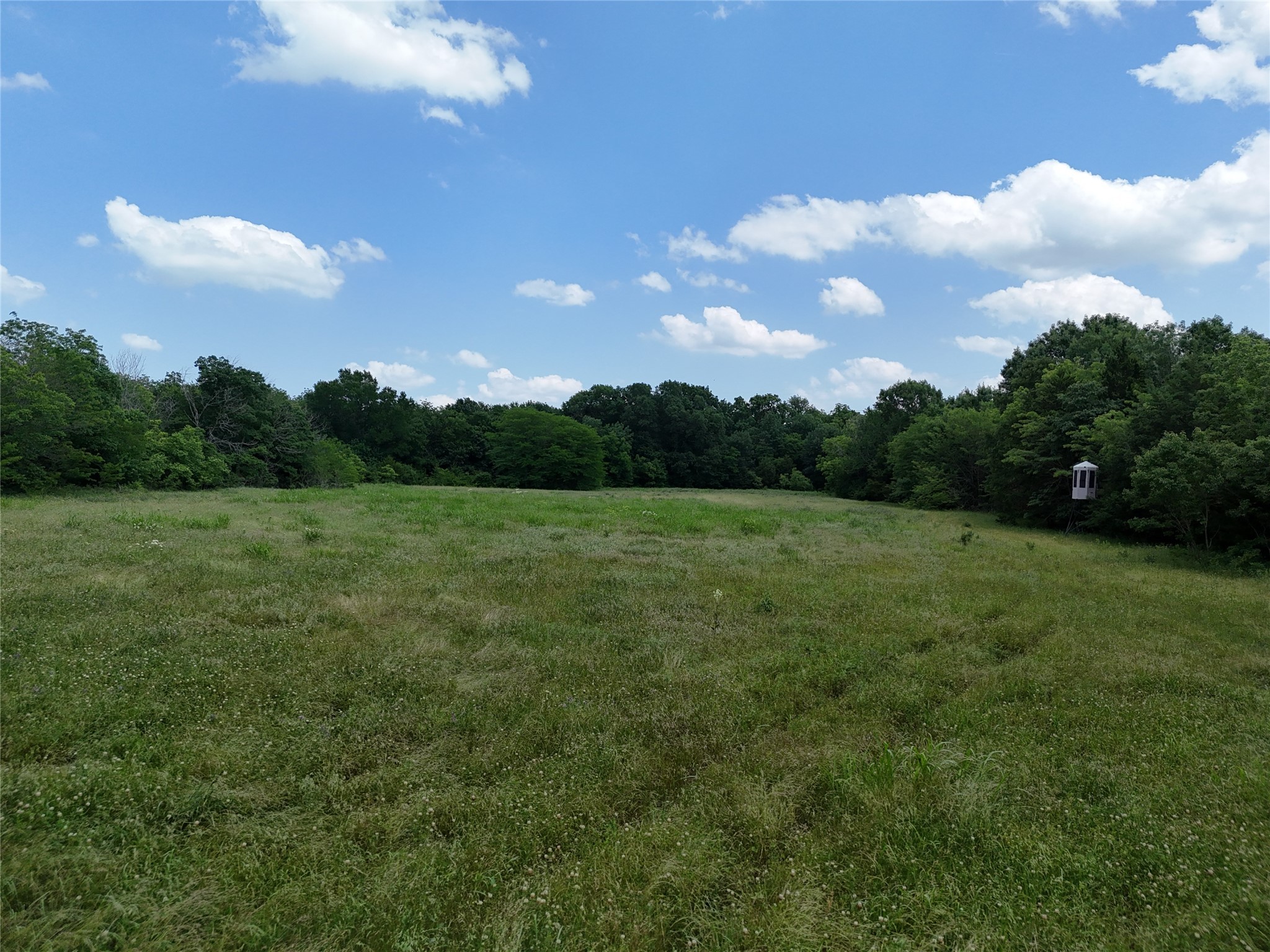 11 Tbd Cr2770 Cr 2770 Honey Grove TX 75446