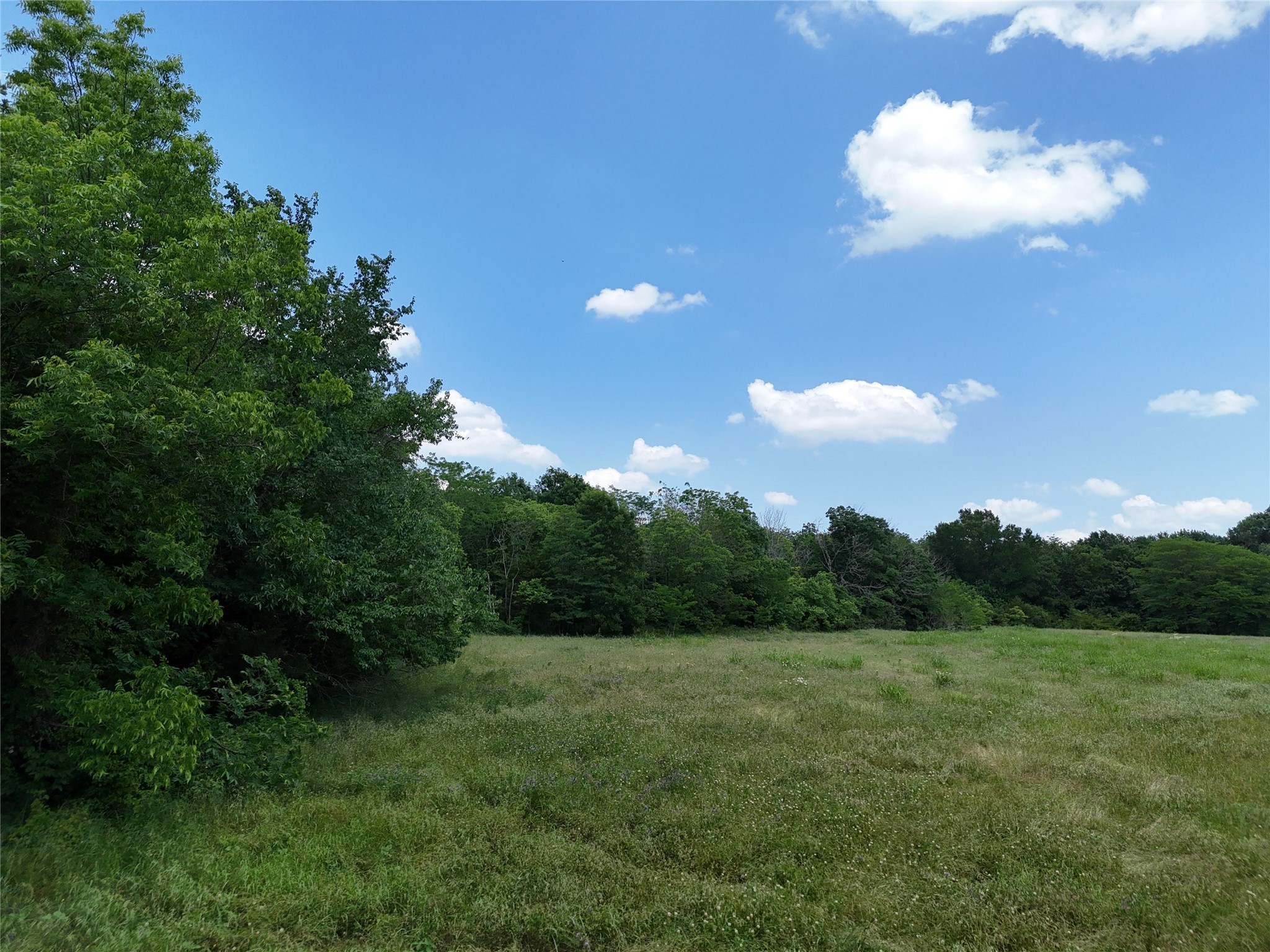 11 Tbd Cr2770 Cr 2770 Honey Grove TX 75446