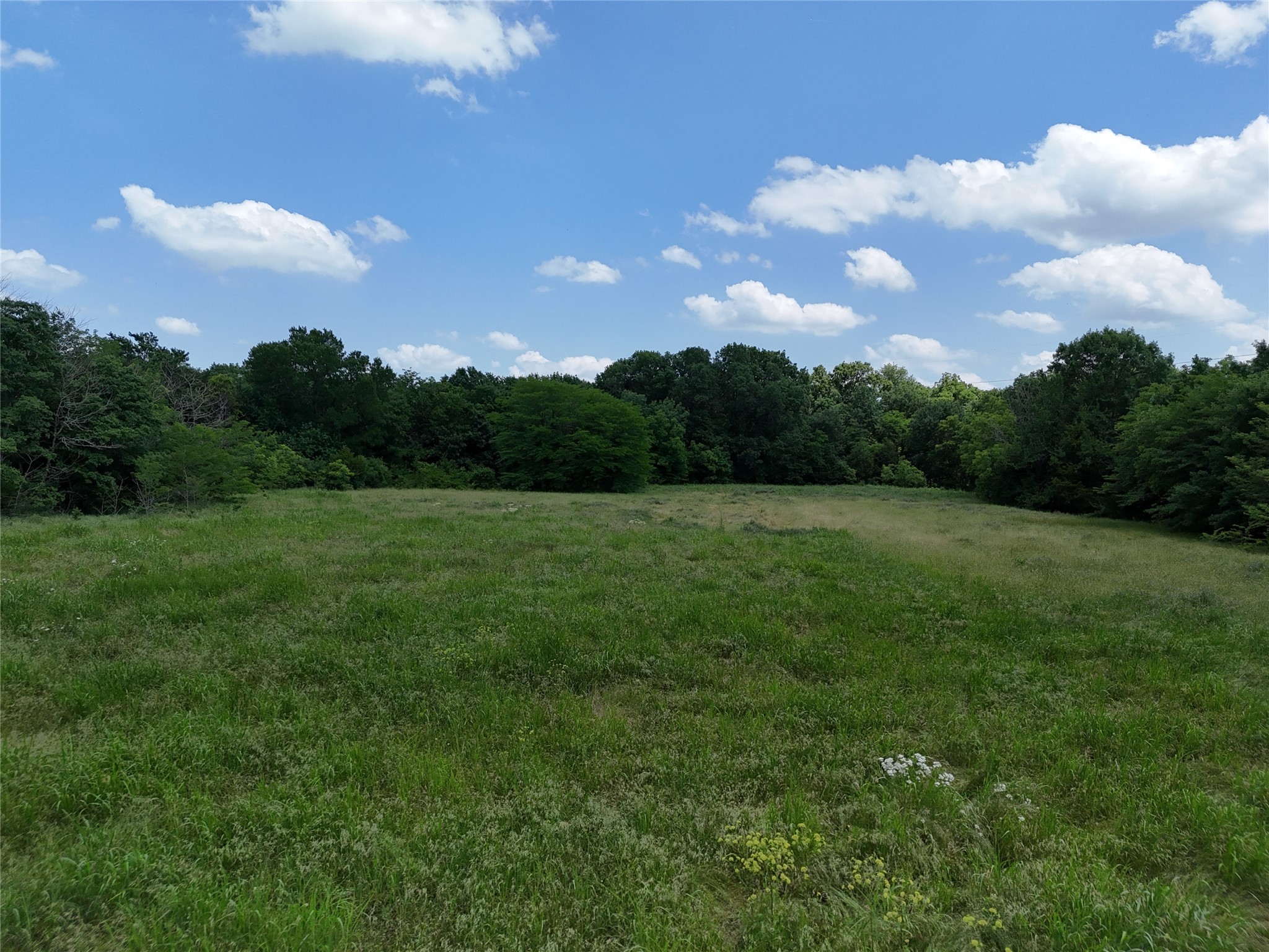 11 Tbd Cr2770 Cr 2770 Honey Grove TX 75446