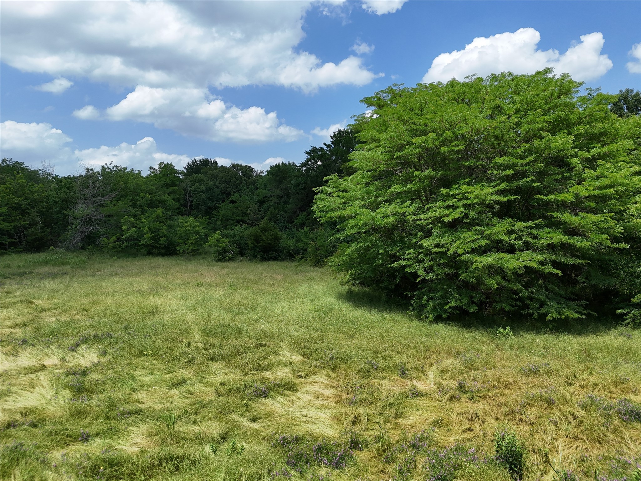 11 Tbd Cr2770 Cr 2770 Honey Grove TX 75446