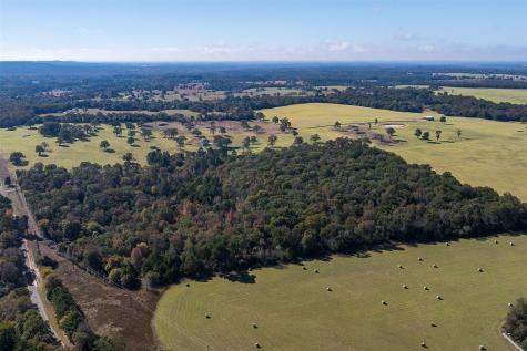 13793 An County Road 404 Palestine TX 75803