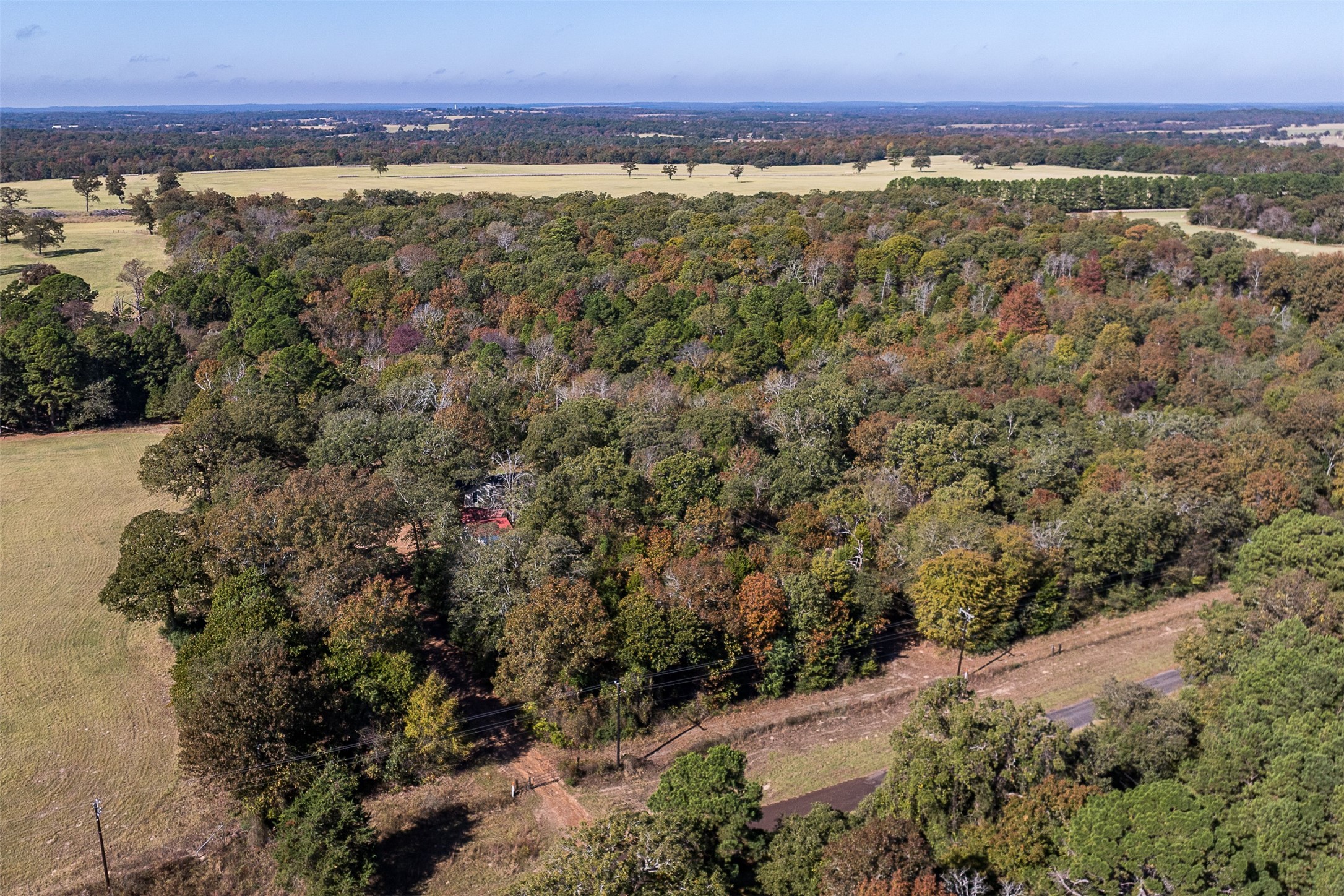 13793 An County Road 404 Palestine TX 75803