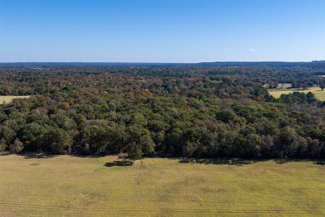 13793 An County Road 404 Palestine TX 75803