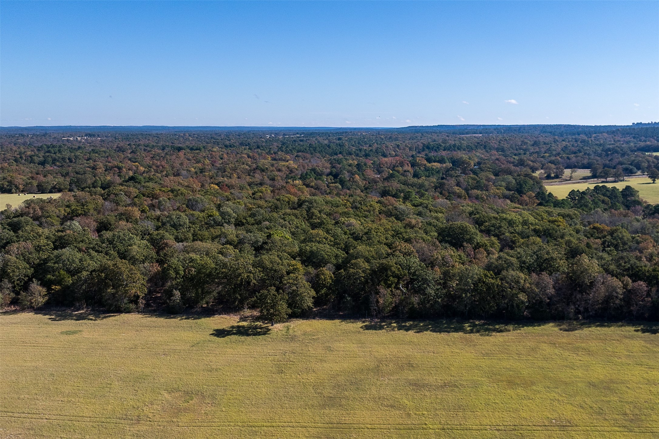 13793 An County Road 404 Palestine TX 75803