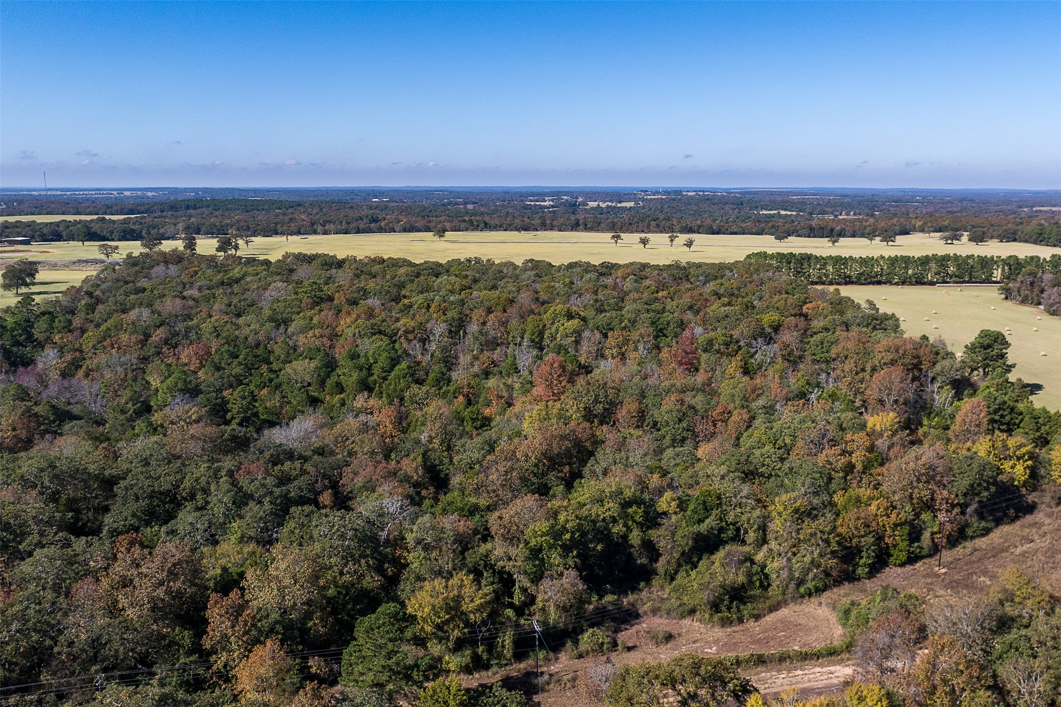 13793 An County Road 404 Palestine TX 75803