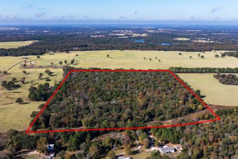 13793 An County Road 404 Palestine TX 75803