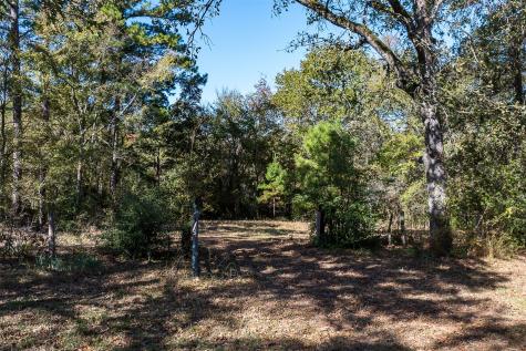 13793 An County Road 404 Palestine TX 75803