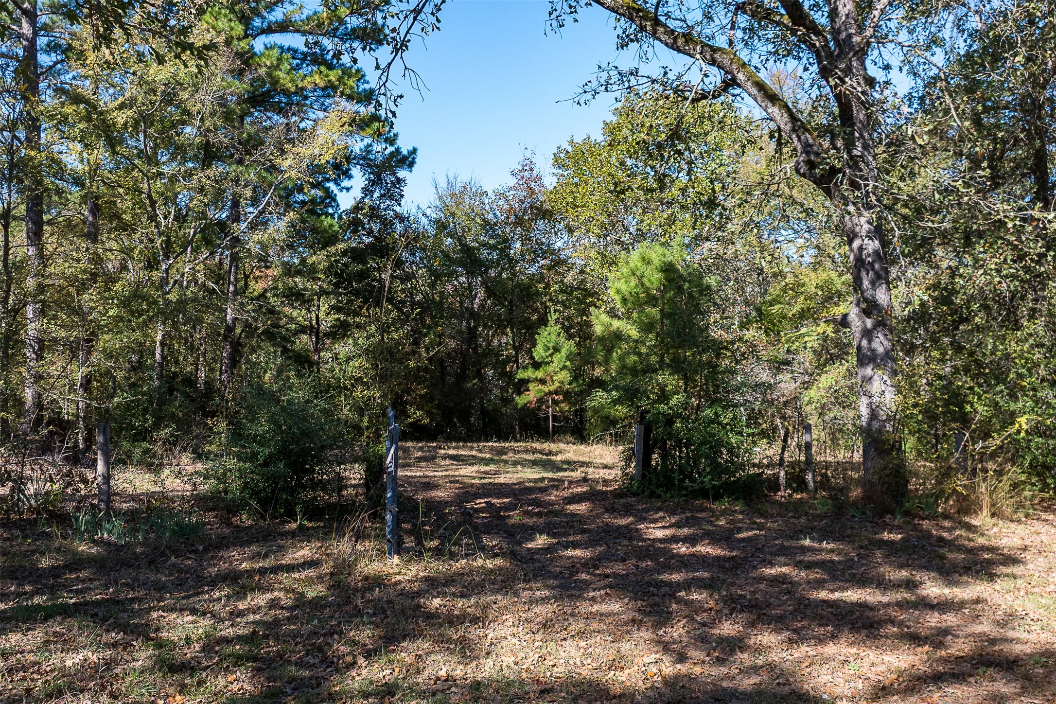 13793 An County Road 404 Palestine TX 75803