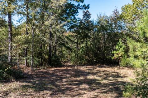 13793 An County Road 404 Palestine TX 75803