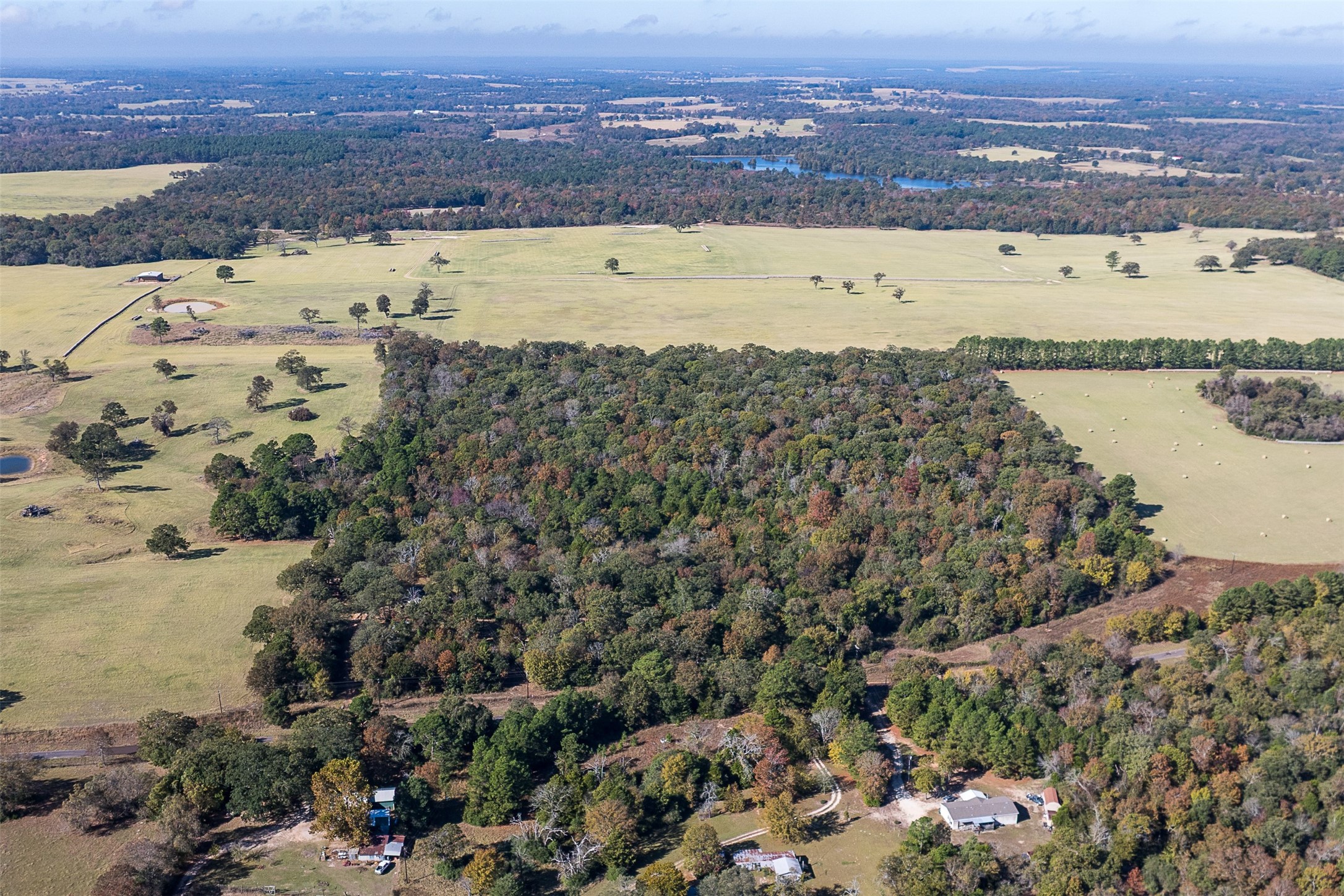 13793 An County Road 404 Palestine TX 75803