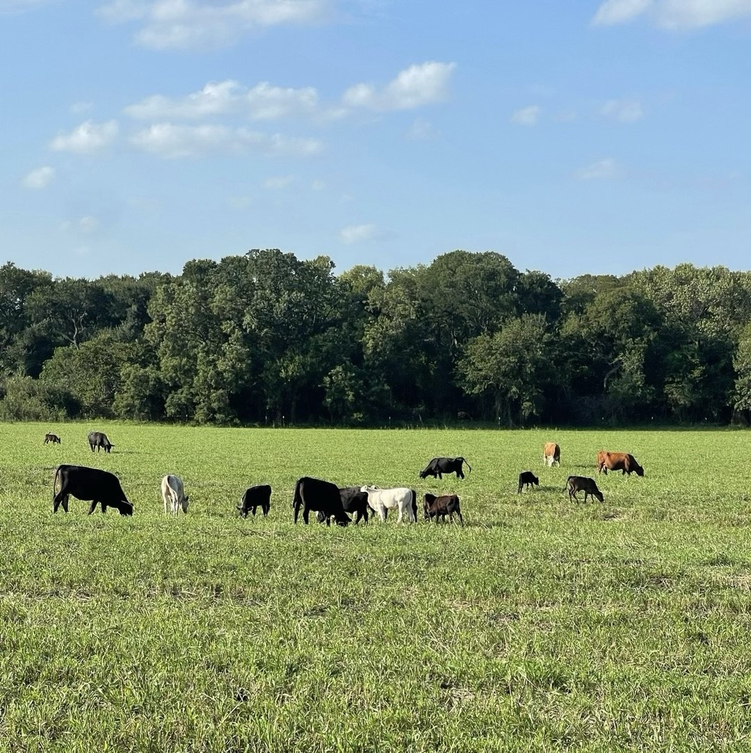 764 County Road 3422 Bynum TX 76631