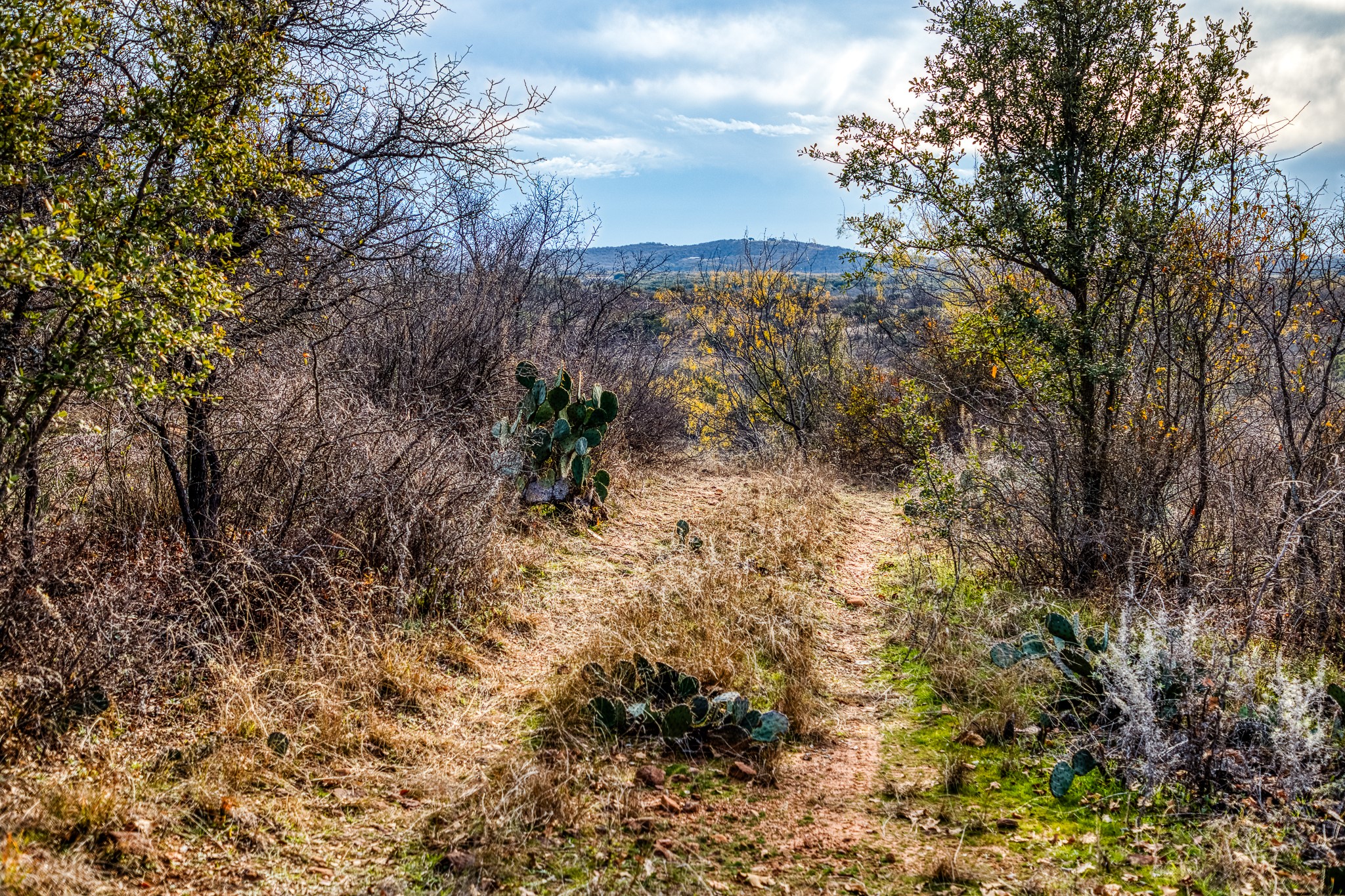 Tbd Reevs Road Graham TX 76450