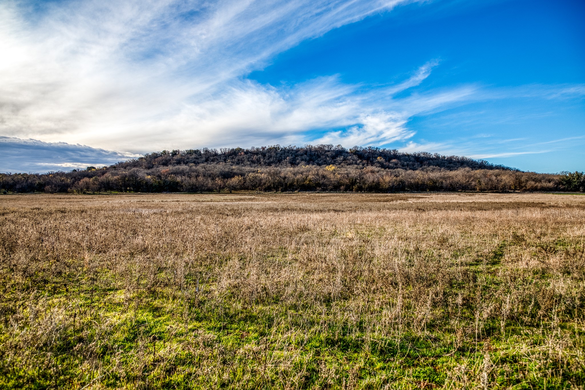 Tbd Reevs Road Graham TX 76450