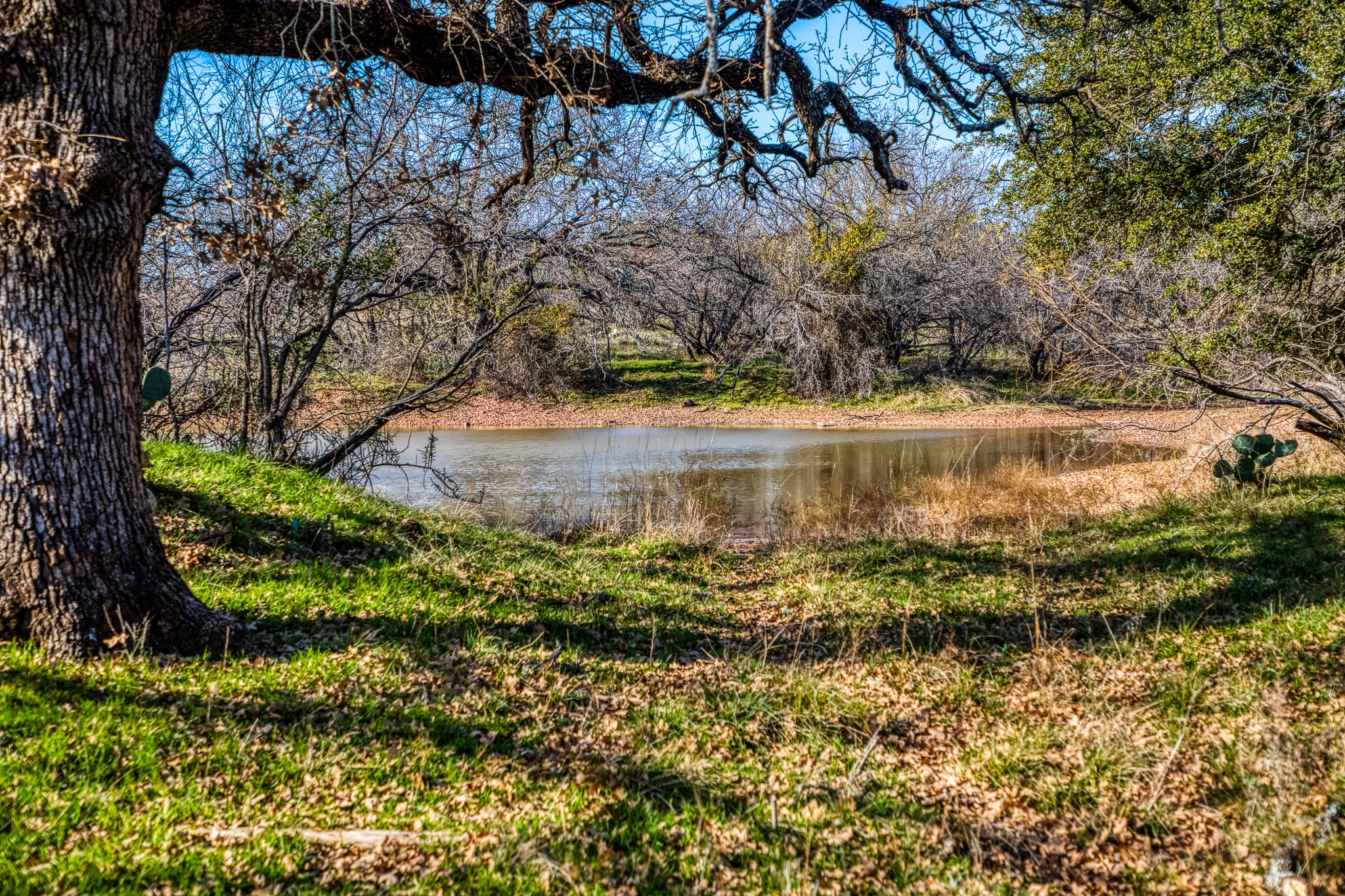 Tbd Reevs Road Graham TX 76450