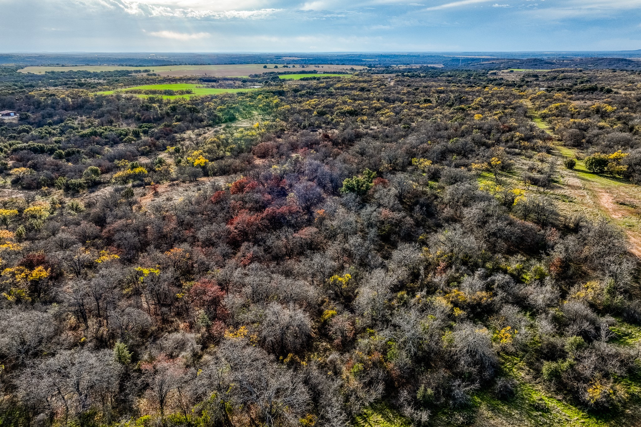 Tbd Reevs Road Graham TX 76450