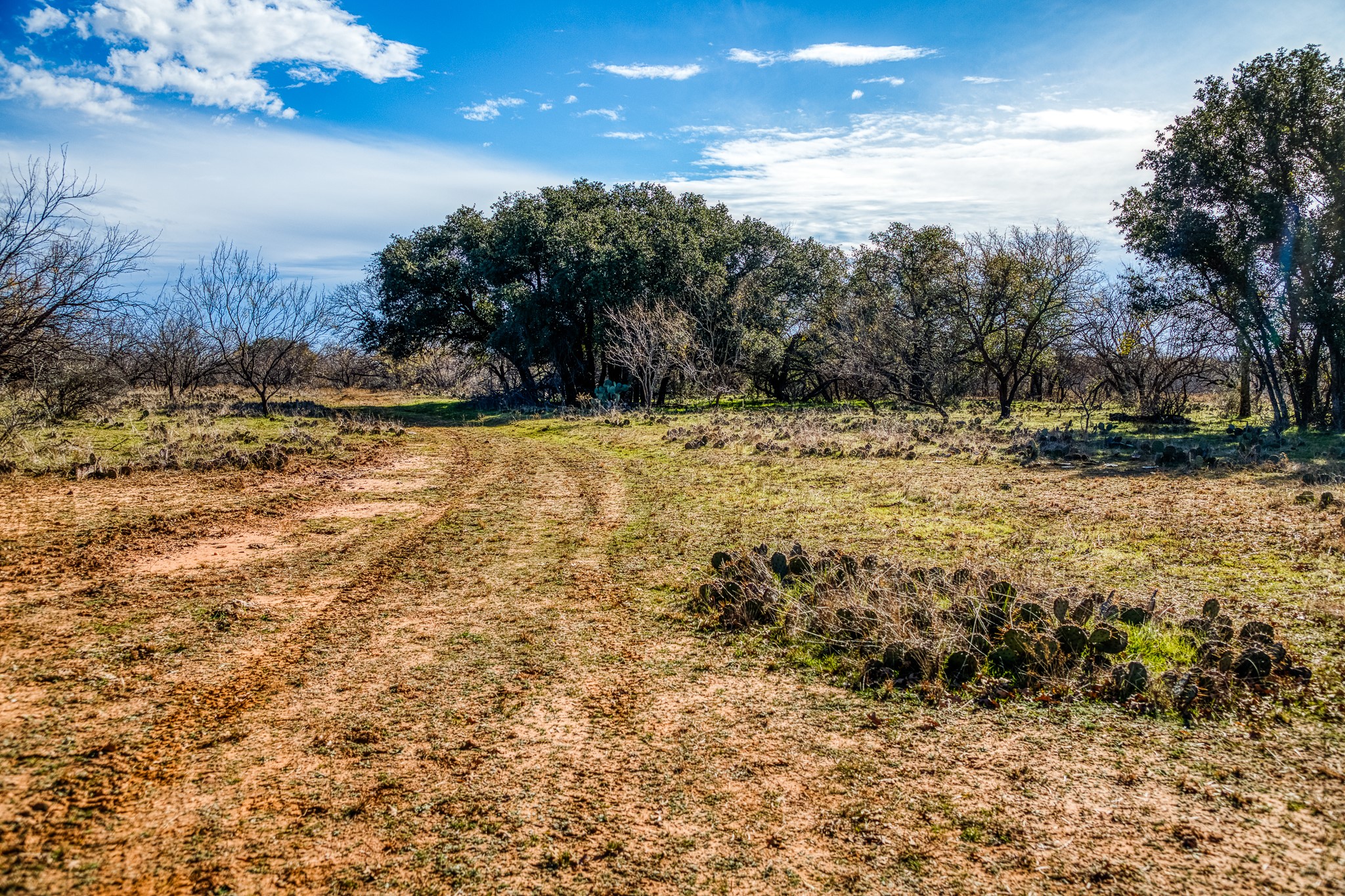 Tbd Reevs Road Graham TX 76450